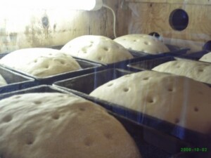 bread rising in the warming closet