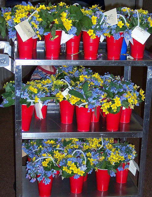 Ready for delivery: bluebells, marsh marigolds, and other flowers proclaim that spring is here!