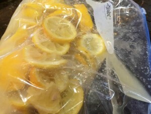 LEMONS zip lock bag B