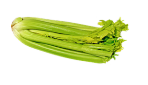 celery 1