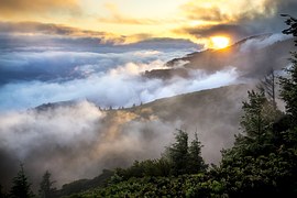 nurse mountains mist