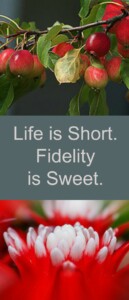 fidelity