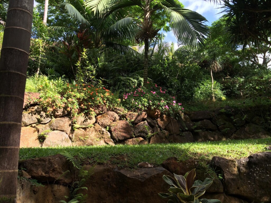 fidelity botanical