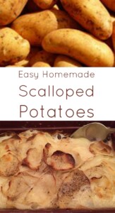 scalloped potatoes