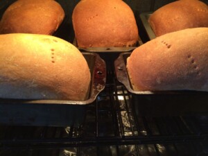 rye baking in oven
