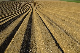 plow-field-soil
