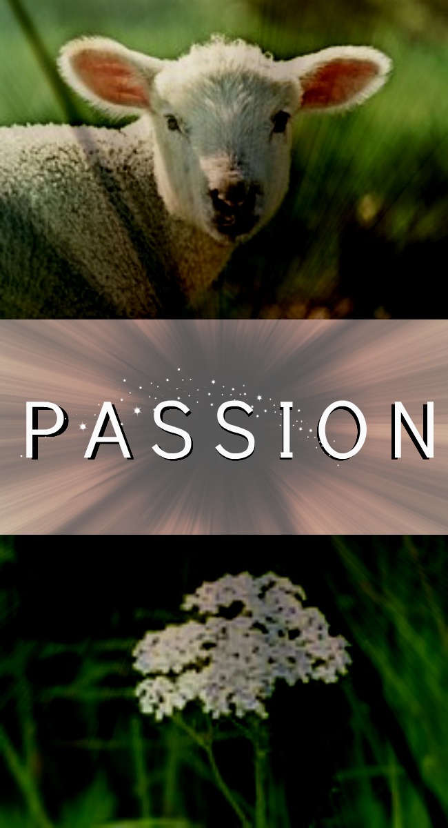Pinterest PASSION