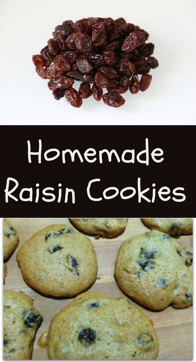 pinterest raisin