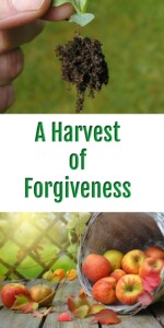 forgiveness