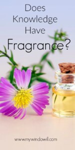fragrance