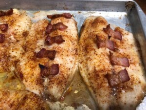 tilapia