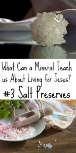 salt preserves
