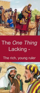 one thing lacking