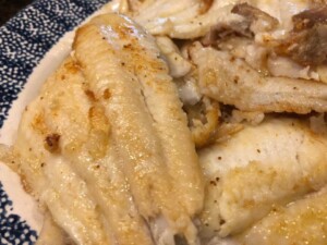 catfish
