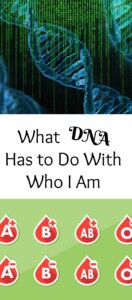 Pinterest DNA