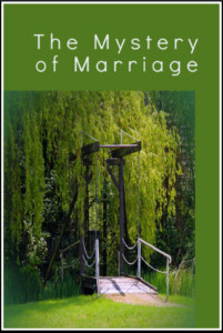 pinterest mystery of marriage