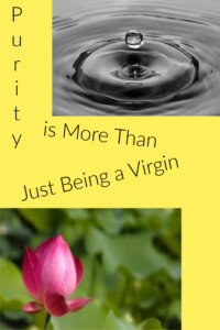 Pinterest Purity Virgin