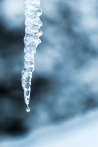 love grows cold