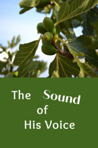 Pinterest sound of His voice