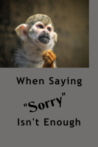 Pinterest Saying Sorry Isn't Enough