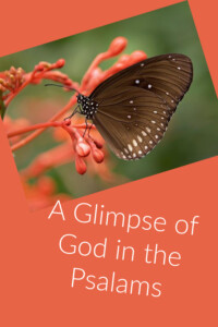 Pinterest Glimpse of God